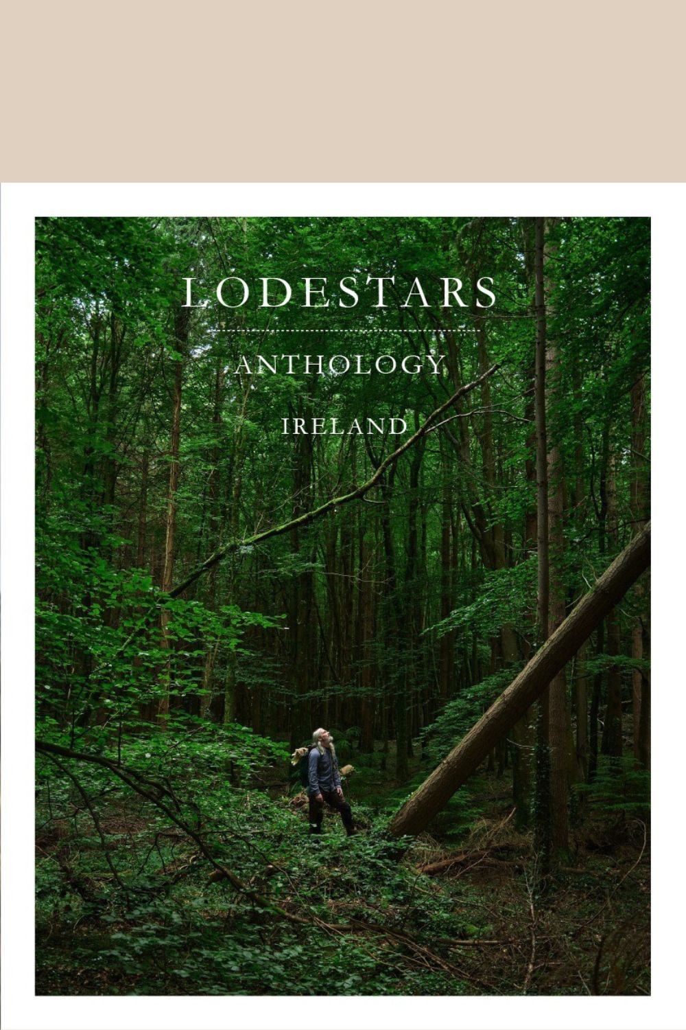 Lodestars Anthology 17: Ireland