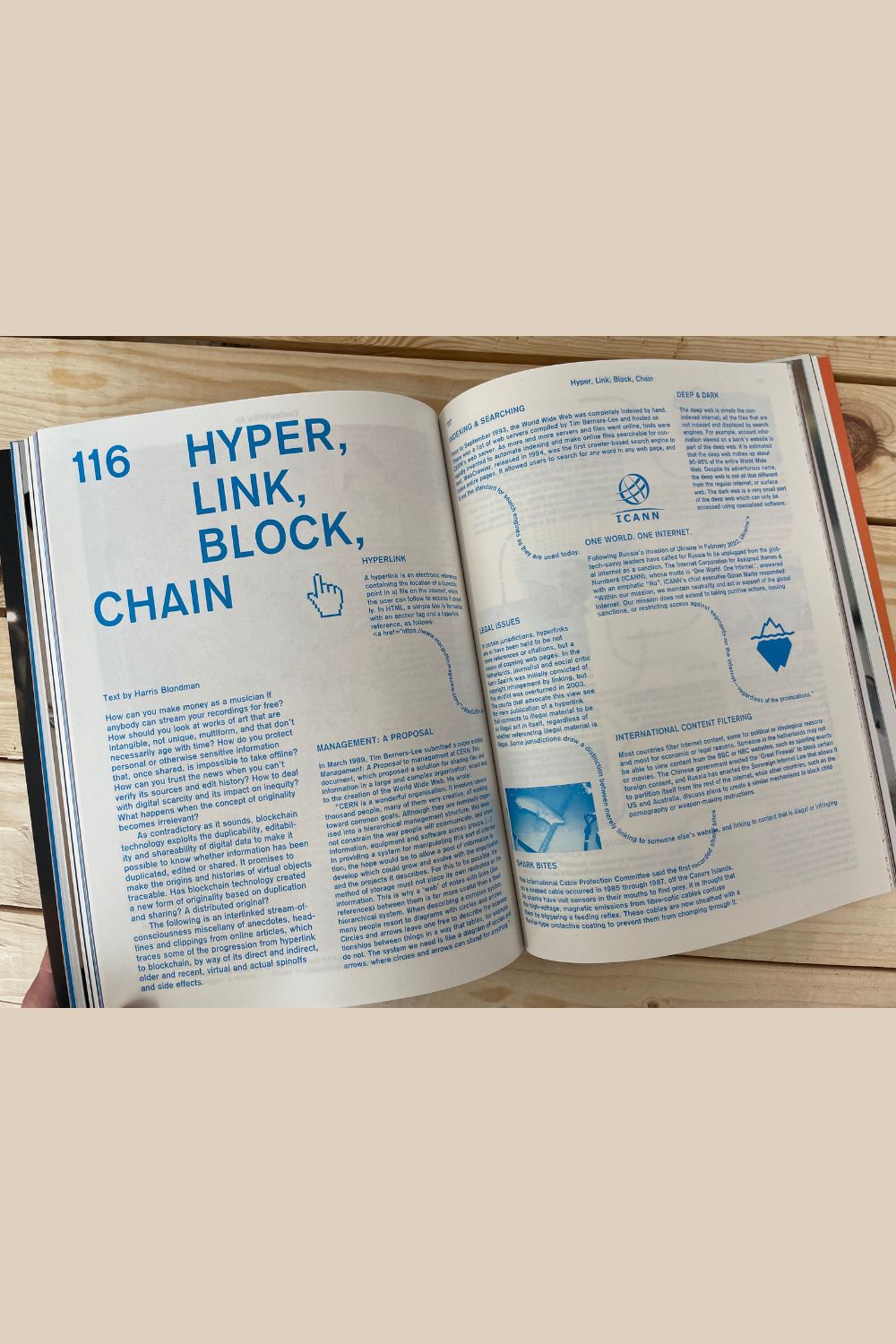 MacGuffin magazine No 11: The Chain