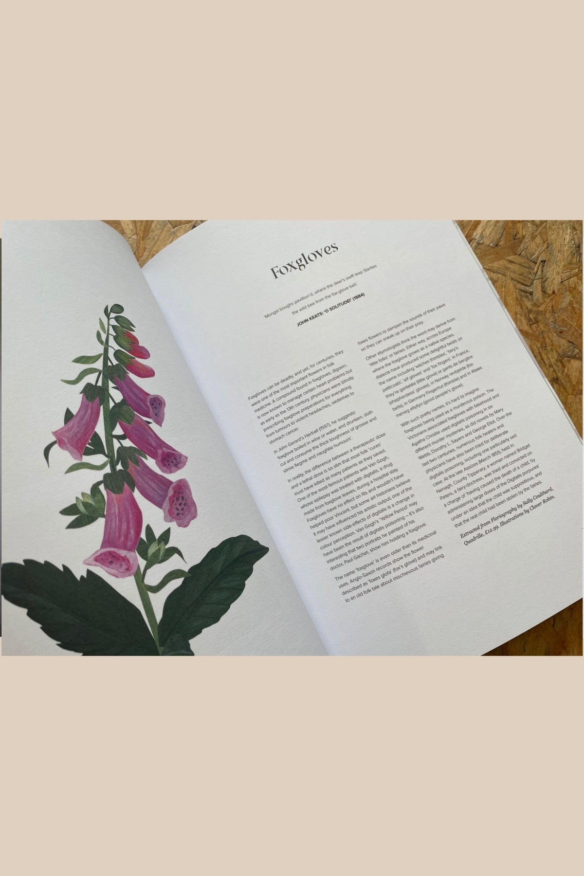 Maverick Guide Issue 01 available to buy at Pics & Ink