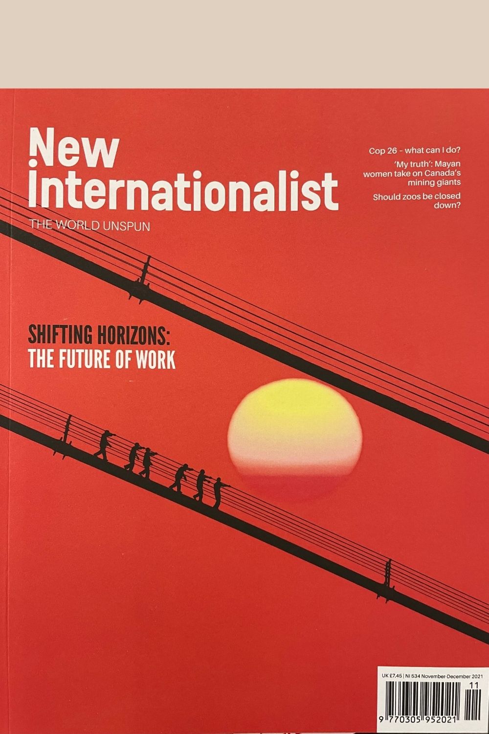 New Internationalist Issue 534