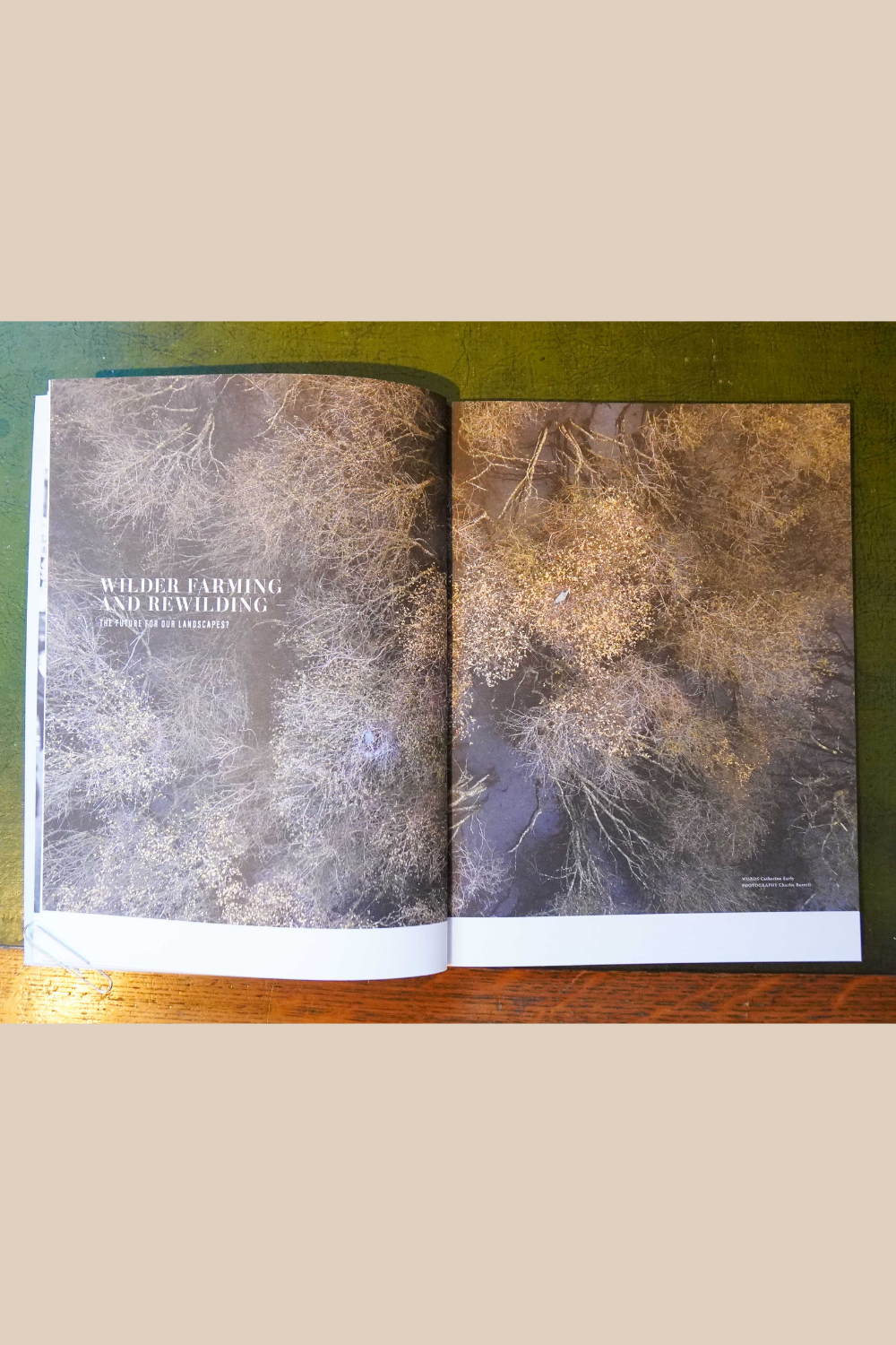 Seed Magazine - Issue 3 - Autumn Winter 2020