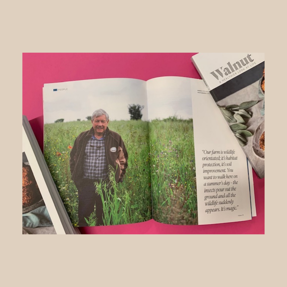 Walnut Issue 6