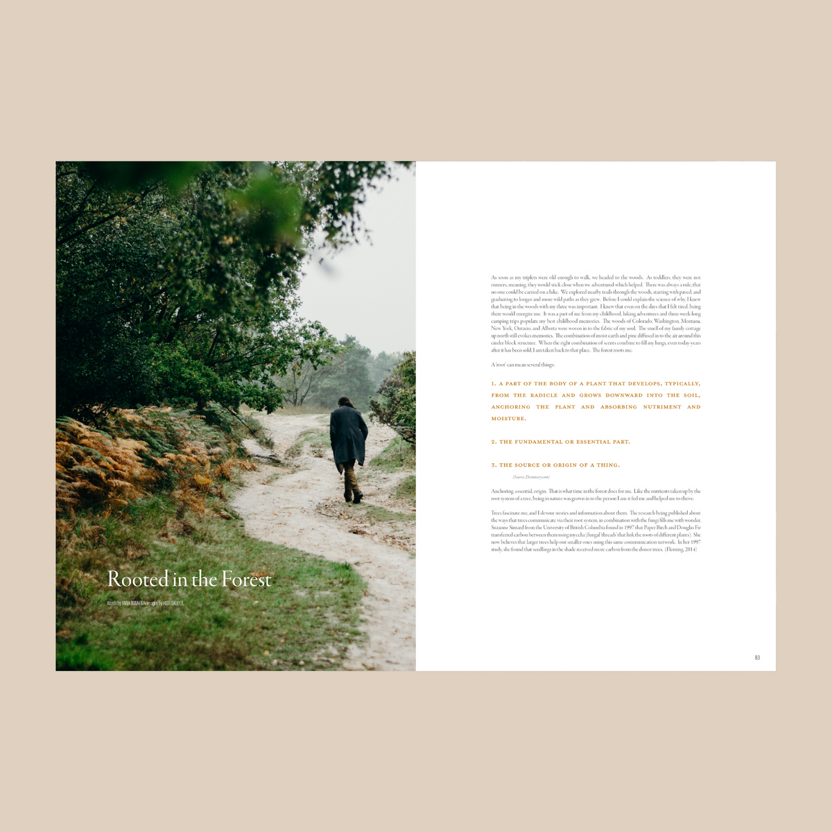 Creative Countryside Issue 5