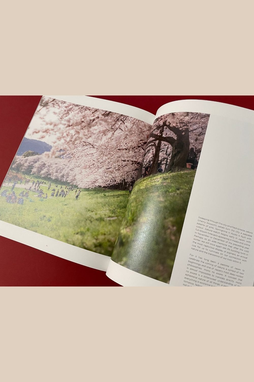 Storied Volume One, The Kyoto Issue