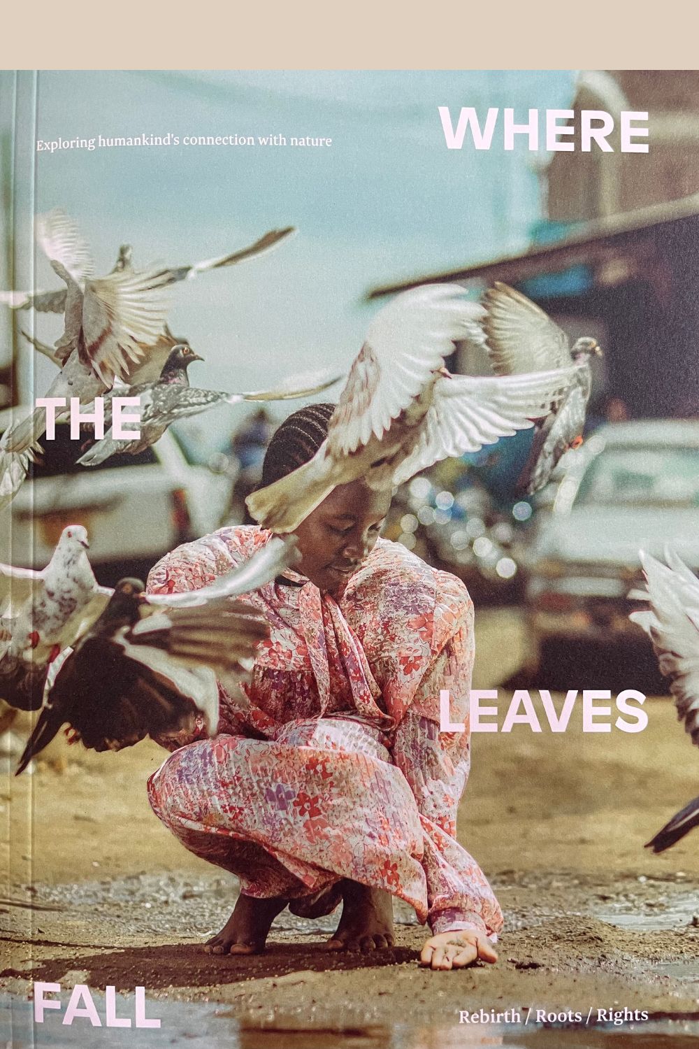 Where The Leaves Fall 13