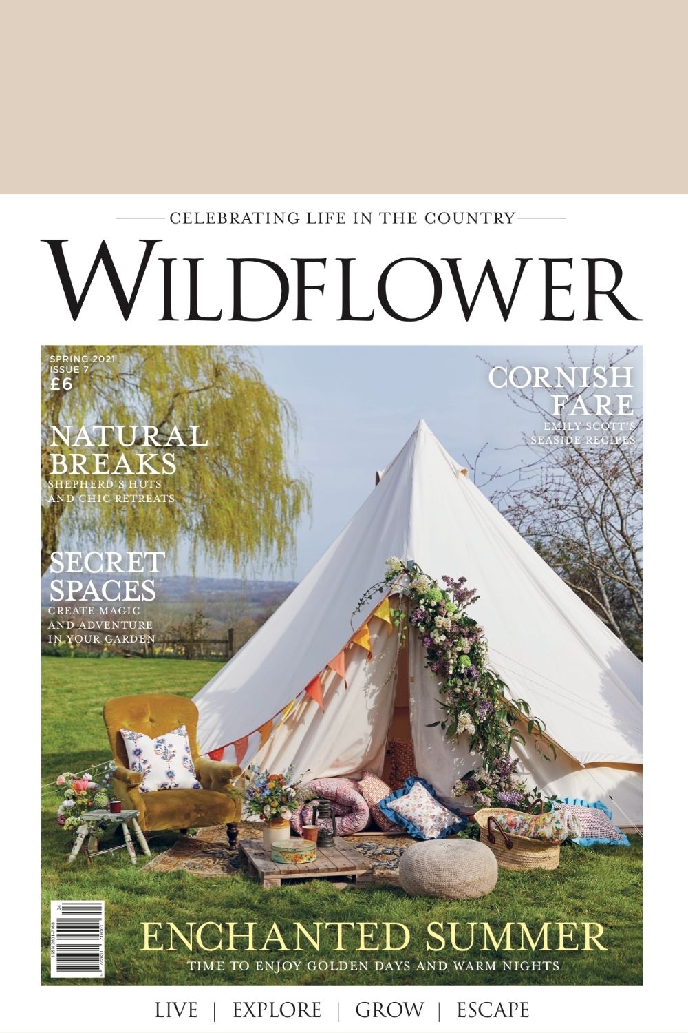 Front cover of Wildflower magazine issue 7 at Pics & Ink